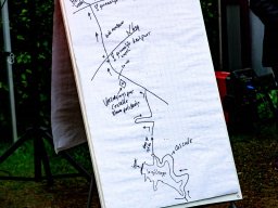 Peak to Peak-Marathon 2021